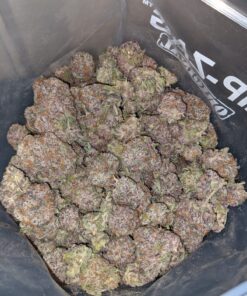 Packman Granddaddy Urkle